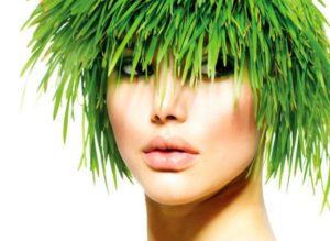 Vegetable hair dye best brands that are safe