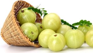 Amla remedy for premature graying of hair