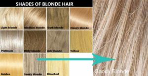 Sandy Blonde chart