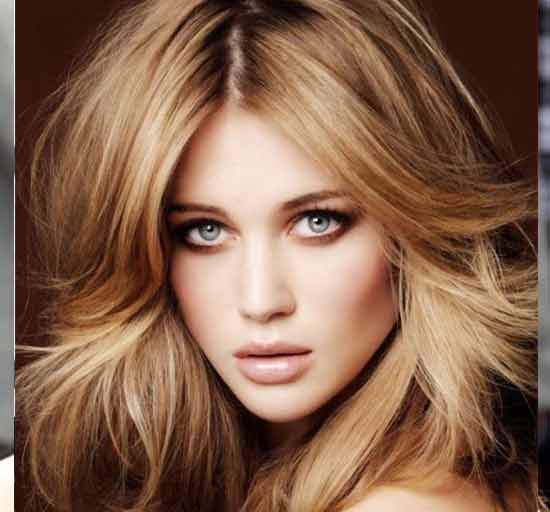 Honey Blonde Hair Color Dye Chart Highlights On Black Dark