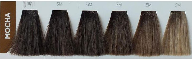 Matrix Mocha Hair Color Chart