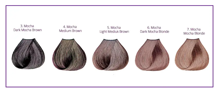 Mocha Hair Color Chart