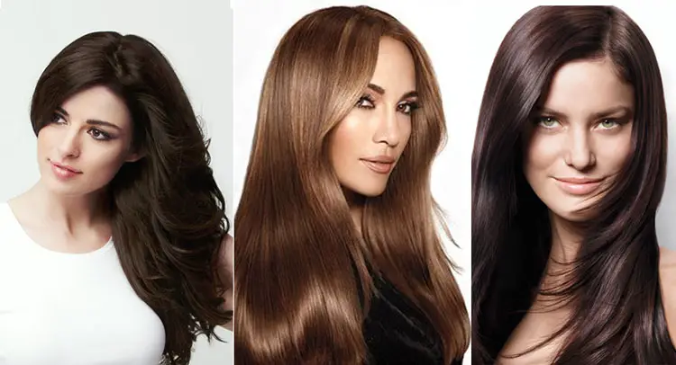 Warm Brown Hair Colour Chart