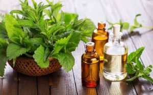 Best-essential oil for hair peppermint