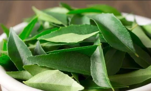 Curry leaves remedy for white hair