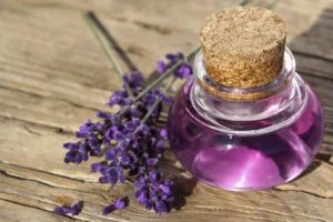 lavender essential oil for hair growth