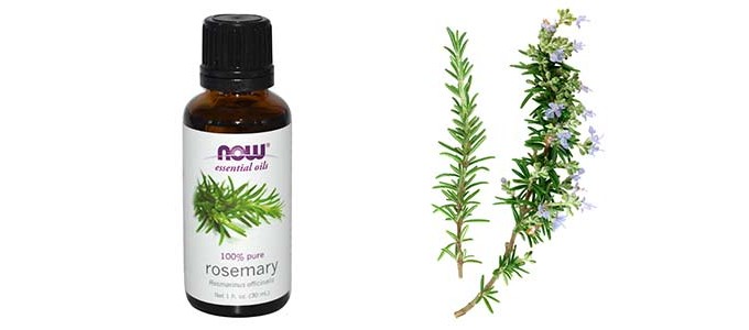 rosemary essential oil for hair