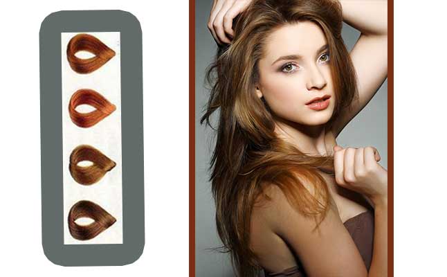 Bronze hair color chart formula