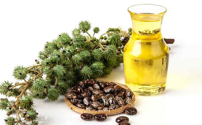 castor andjojoba oil for hair loss/growthtreatment