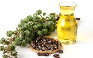 castor and pepperming oil for hair uses
