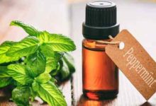 peppermint oil for hair growth reviews