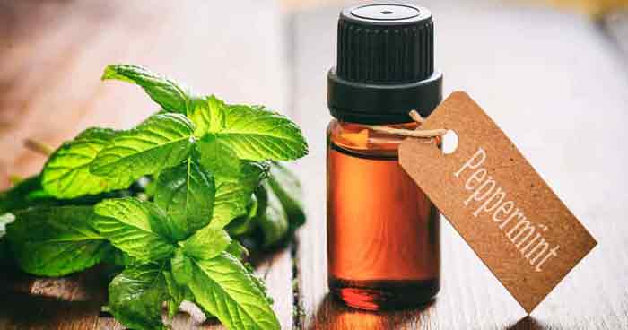 peppermint oil for hair growth reviews